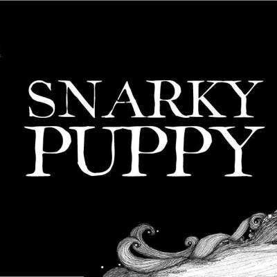 smarky puppy tour